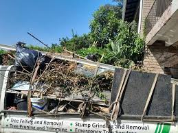 Best Foreclosure Cleanout  in Olmos Park, TX